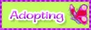 adopting