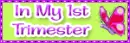 1st trimester