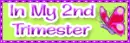 2nd trimester