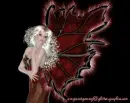 fairy