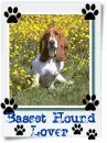 Basset Hound Lover