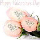 CINDERELLA ROSES HAPPY VALENTINES DAY