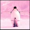 penguin and chick