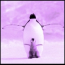 penguin and chick