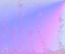 Pink Splash