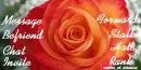 Orange Rose