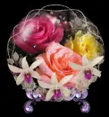ROSEGL_03