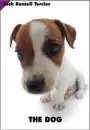 cute