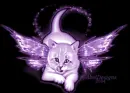 caty
