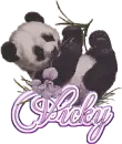 Vicky Panda