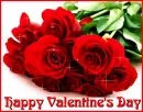 Happy Valentine's Day Roses