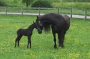 mother and son