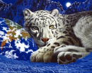 white tiger