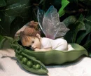 Sweet Pea Fairy