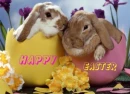 Happy Easter