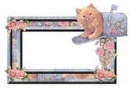 FRAME