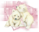 WHITE BEARS
