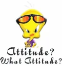 BAD ATTITUDE TWEETY