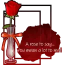 A ROSE MEANING