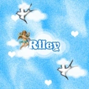 Riley in the clouds Background