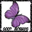 purple butterfly
