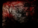 Dark