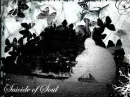 Suicide of soul