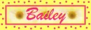 Bailey