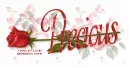 PRECIOUS RedRose