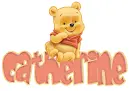 baby winnie pooh catherine