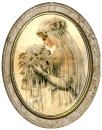 SWEET VICTORIAN BRIDE