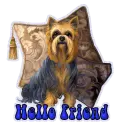 Hello Freind