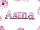 pink daisies asma