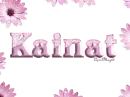 pink daisies kainat