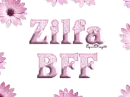pink daisies zilfa bff