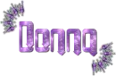 Diamond Pierced Text - Donna