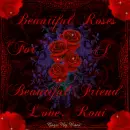 Beautiful Roses From Roni