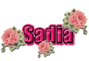 Roses: Sadia