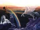 Nature World