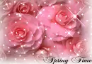 Spring Time Roses