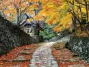 Fall Time