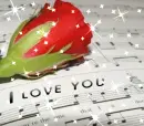Love Rose