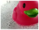rubby duck