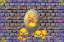 Egg