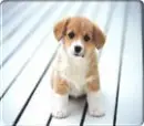 how cute