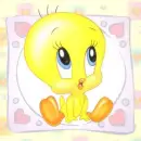 tweety is sooooo cute