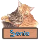 Sonia - cats