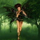Irish Fairy