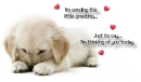 Puppy