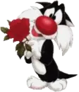 Will you be my Valentine?